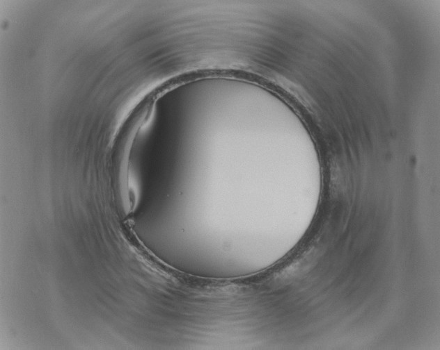 X0000073930926200609011830