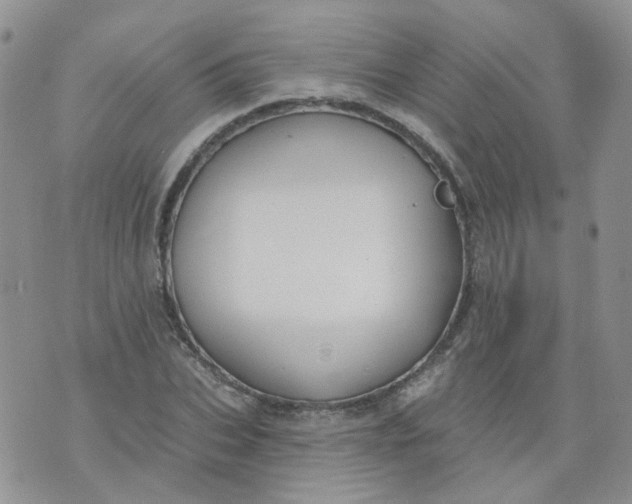 X0000073930927200609011830