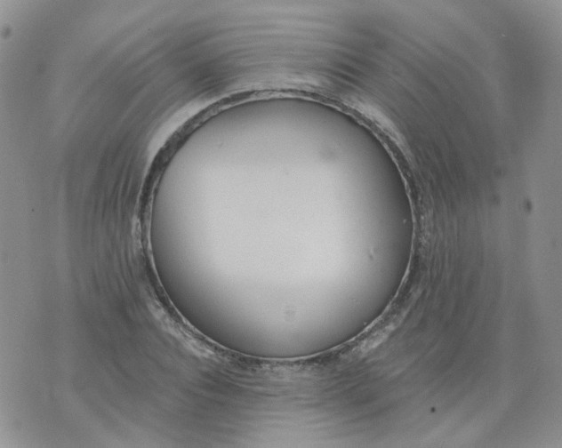 X0000073930928200609011830