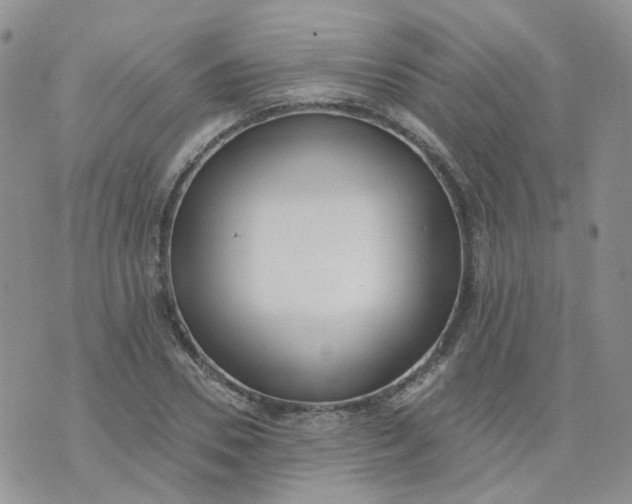 X0000073930930200609011830