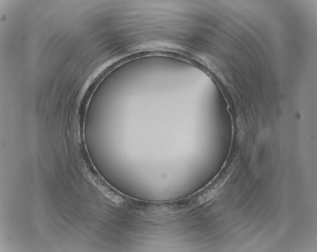 X0000073930931200609011830