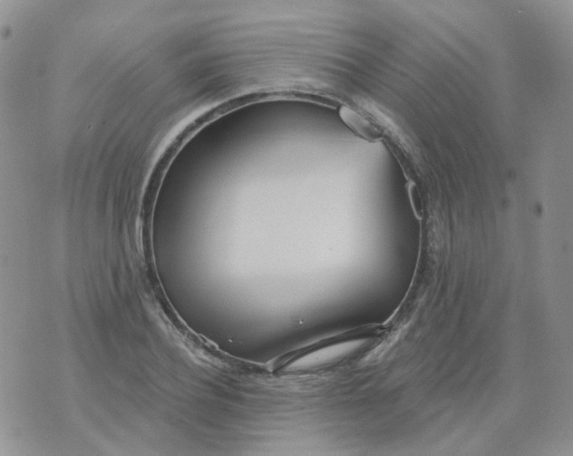 X0000073930932200609011831