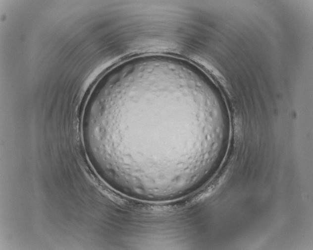 X0000073930933200609011831