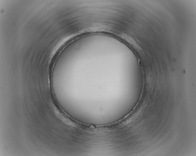 X0000073930934200609011831