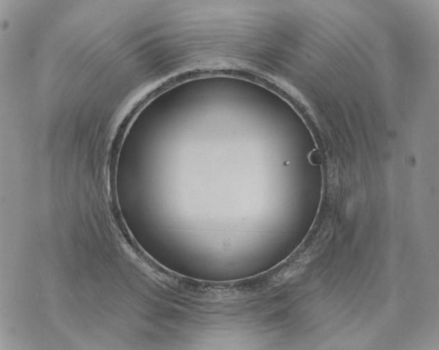 X0000073930935200609011831