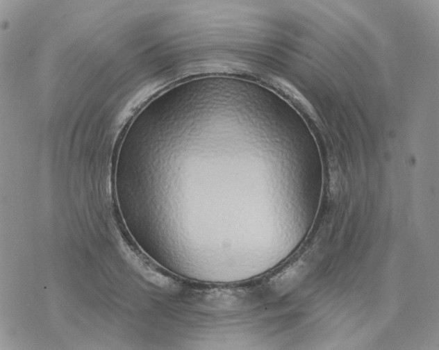 X0000073930938200609011831