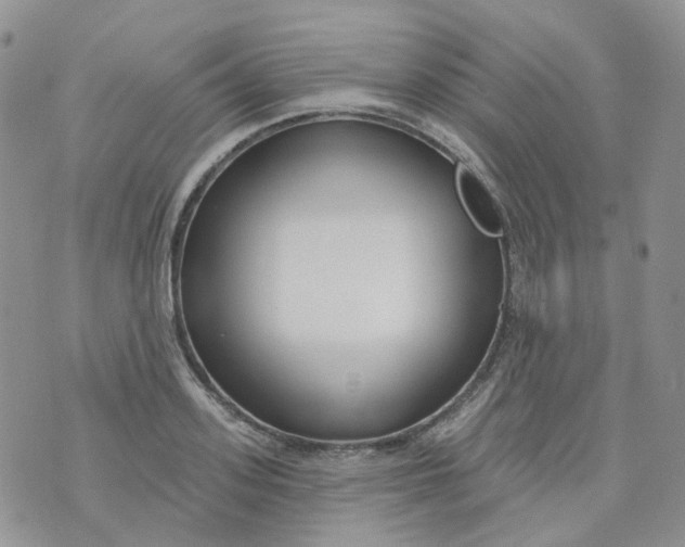 X0000073930939200609011831