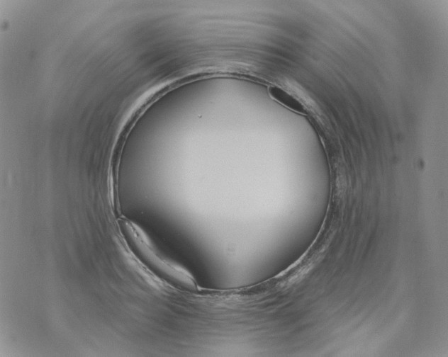 X0000073930940200609011831