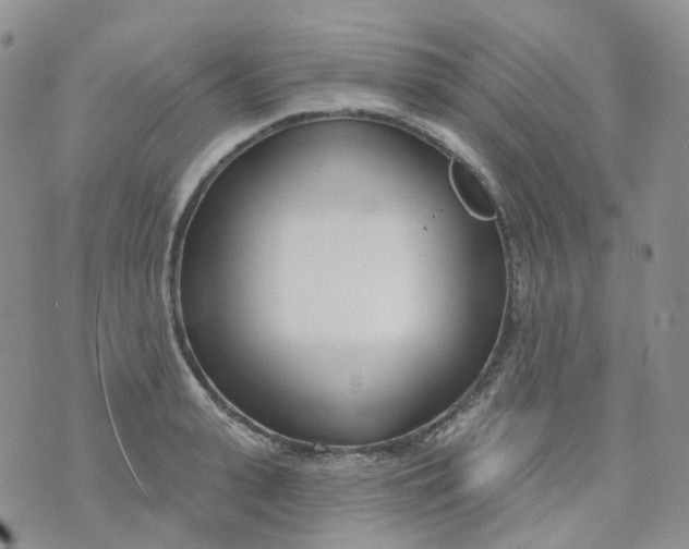 X0000073930943200609011831