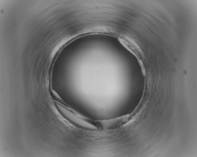 X0000073930944200609011831