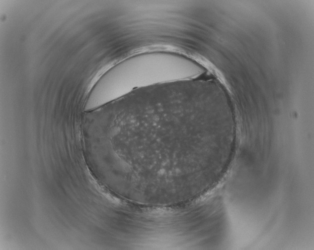 X0000073930945200609011831