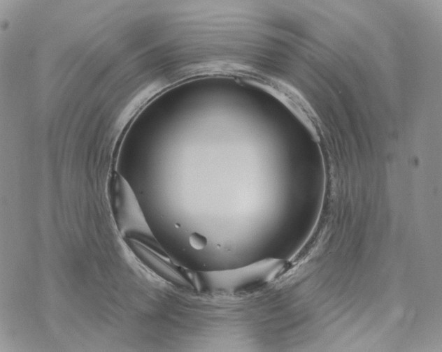 X0000073930946200609011831