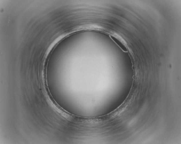 X0000073930947200609011831