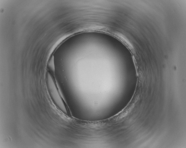 X0000073930948200609011831