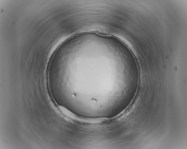 X0000073930949200609011831