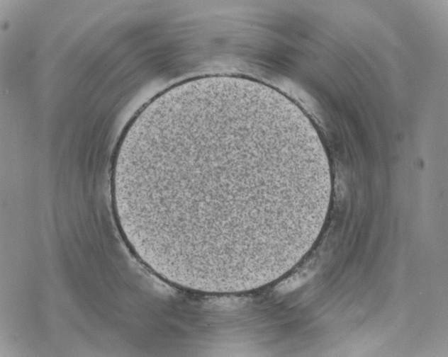 X0000073930950200609011831