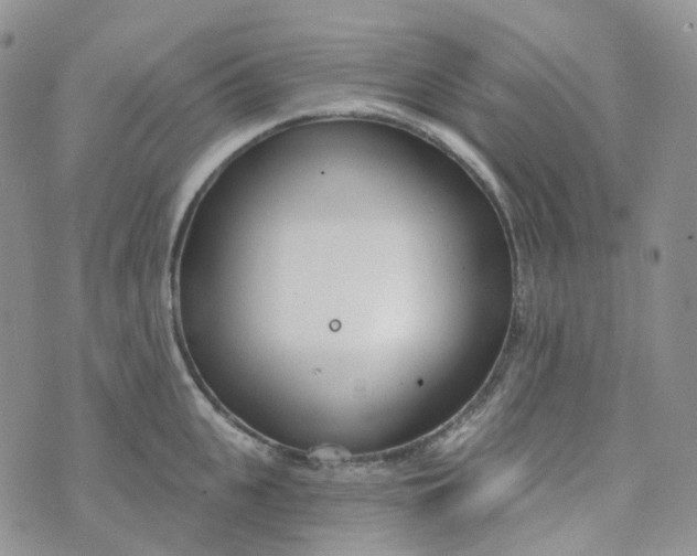 X0000073930951200609011831