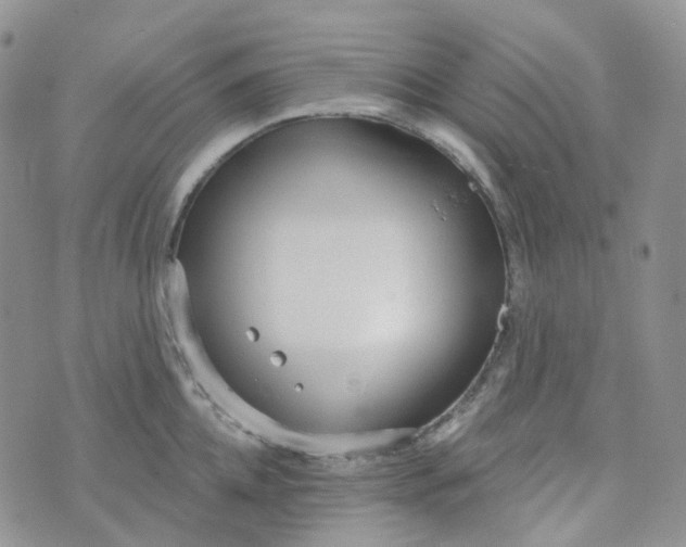 X0000073930952200609011831