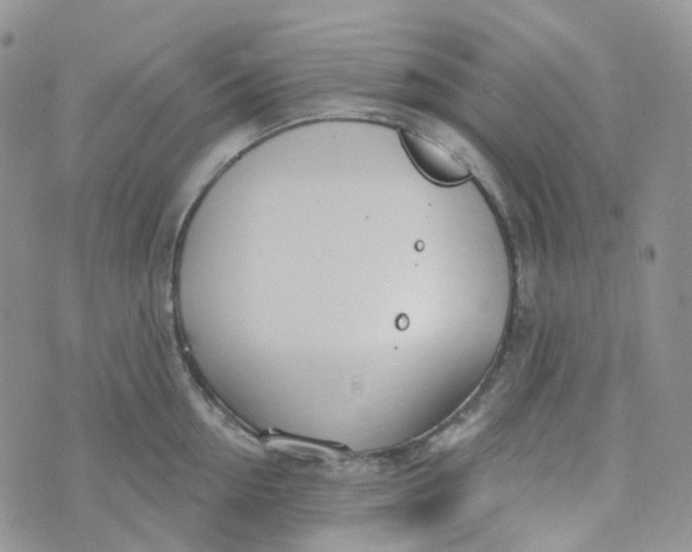 X0000073930954200609011831