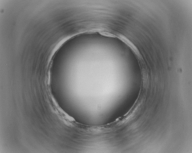 X0000073930956200609011831