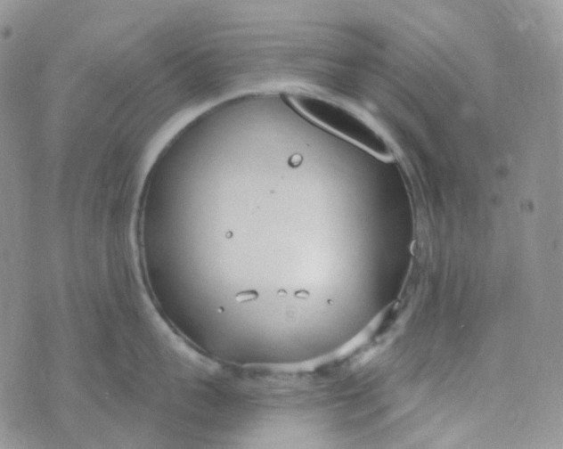 X0000073930959200609011831