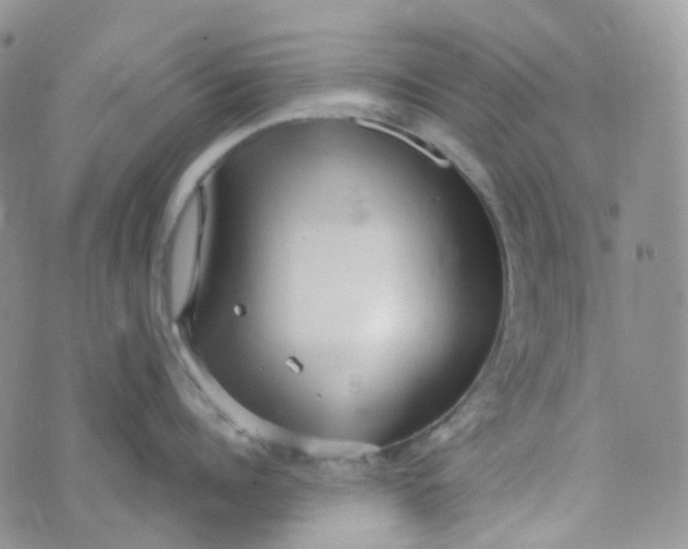 X0000073930960200609011831