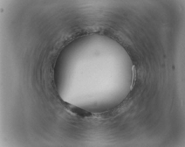 X0000073930961200609011830