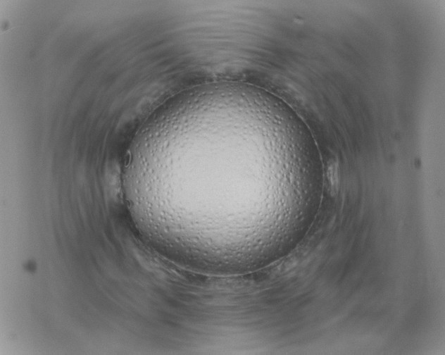 X0000073930963200609011830