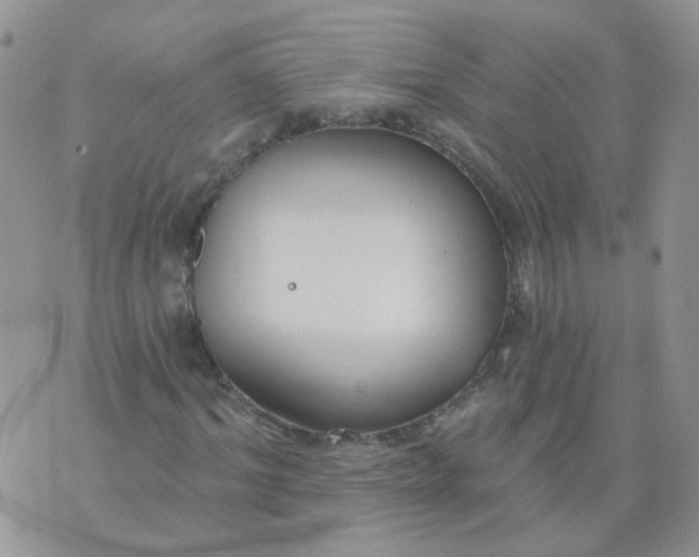 X0000073930964200609011830