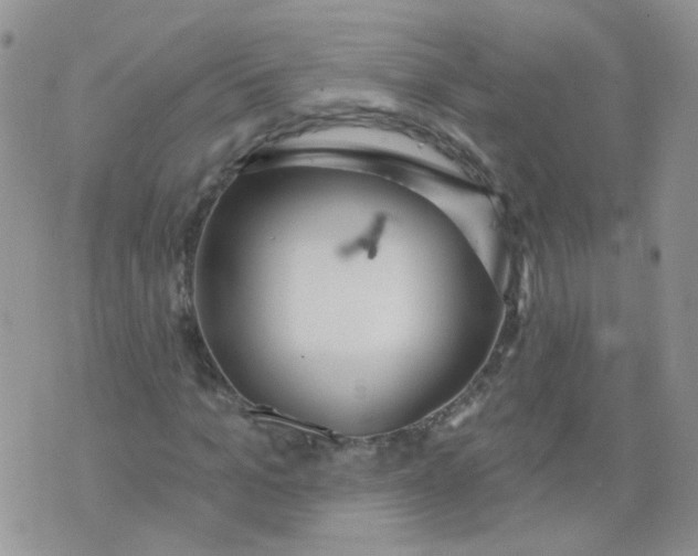 X0000073930965200609011830