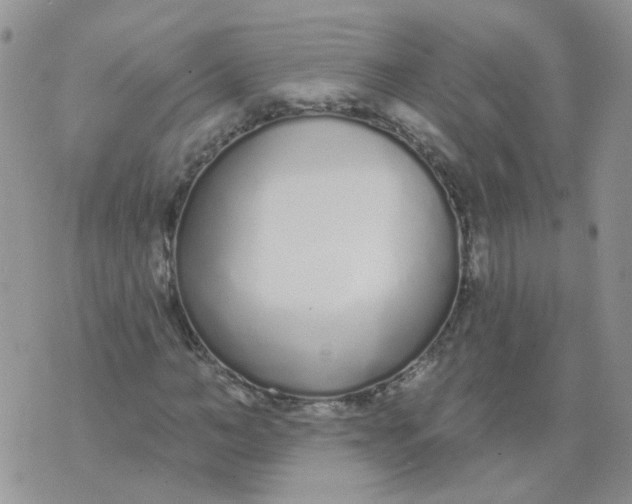 X0000073930966200609011830