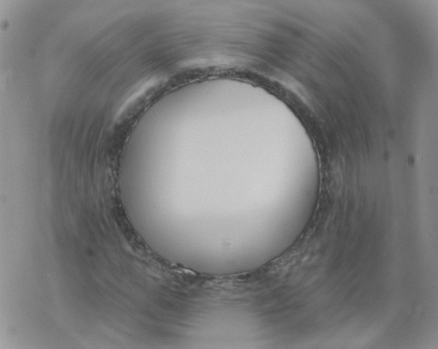 X0000073930967200609011830