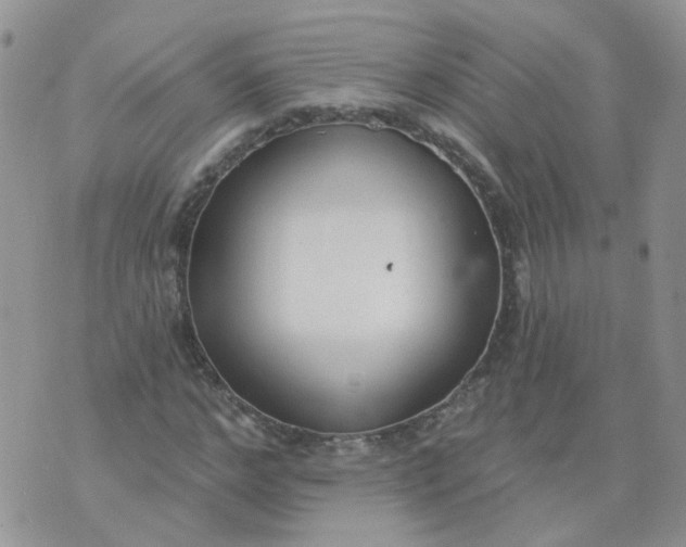 X0000073930968200609011830