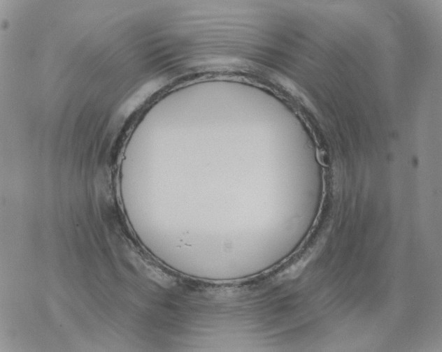 X0000073930970200609011830