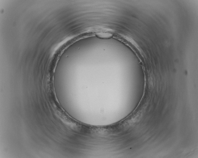 X0000073930971200609011830