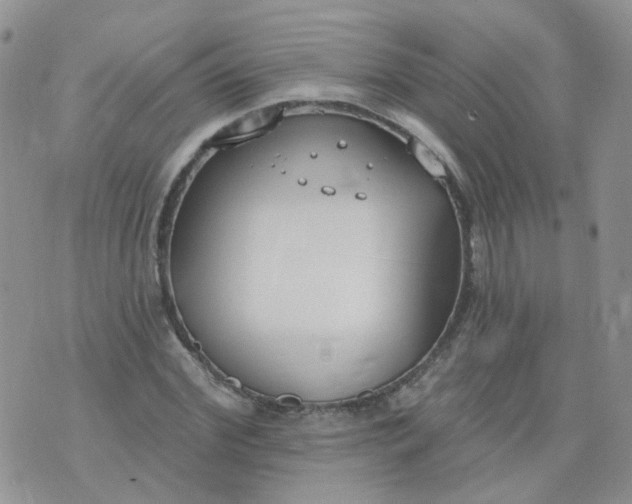 X0000073930972200609011830