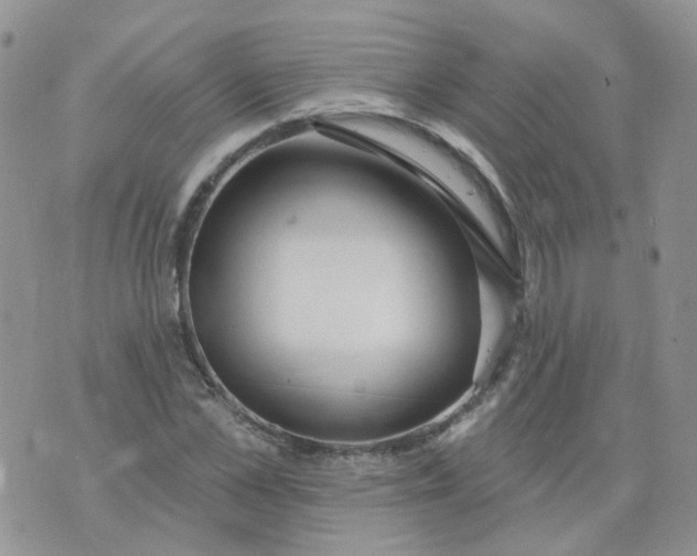 X0000073930973200609011830