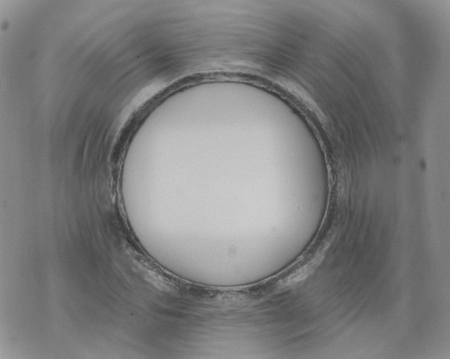 X0000073930974200609011830