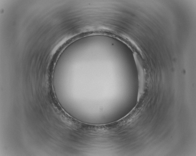 X0000073930975200609011830