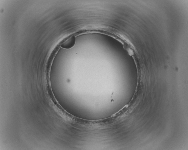 X0000073930976200609011830