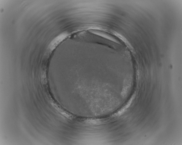 X0000073930977200609011830