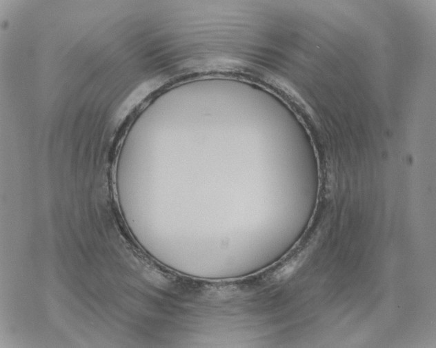 X0000073930978200609011830