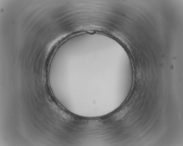 X0000073930979200609011830