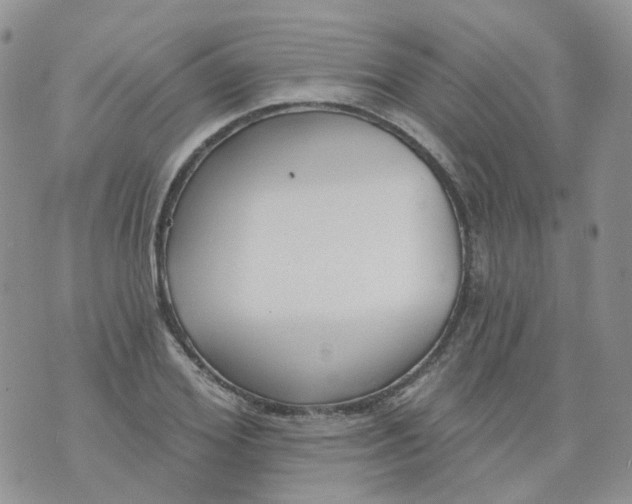 X0000073930980200609011830