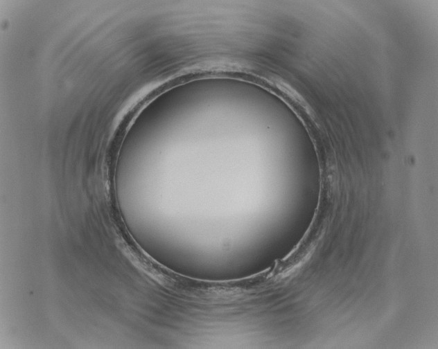 X0000073930981200609011830