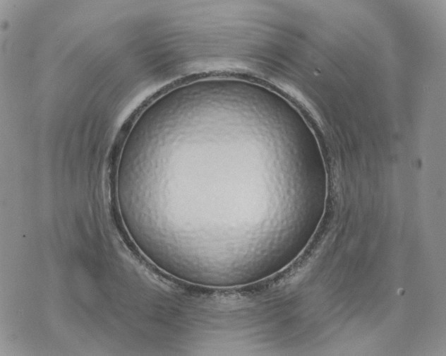 X0000073930983200609011830