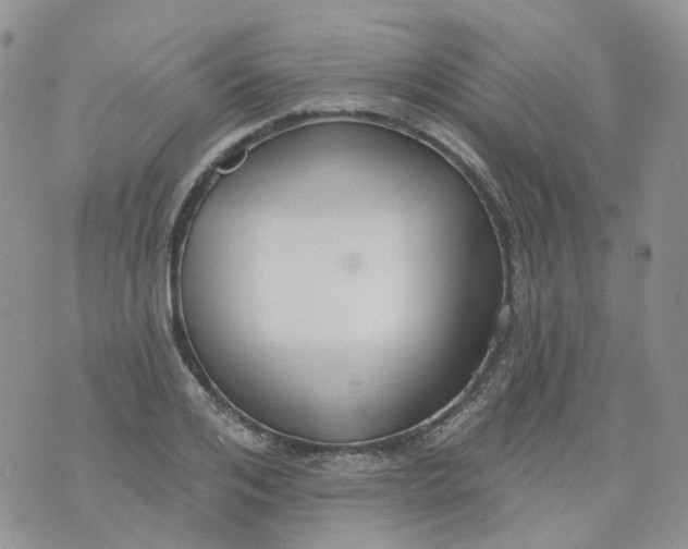 X0000073930984200609011830