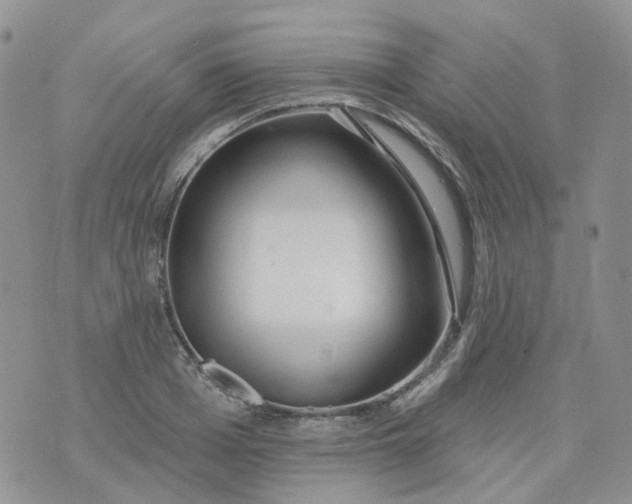 X0000073930985200609011830