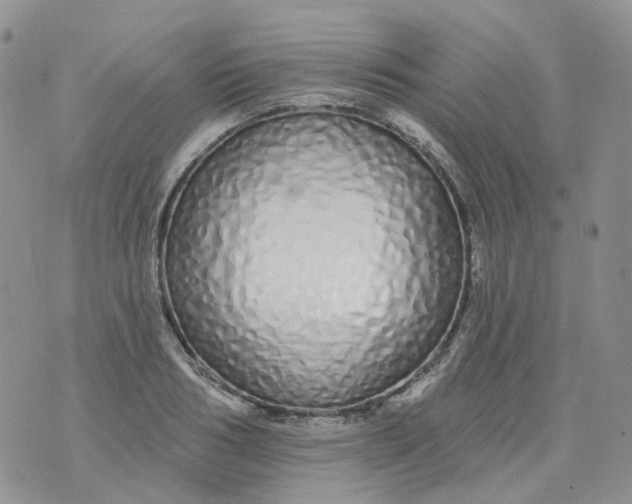 X0000073930986200609011830