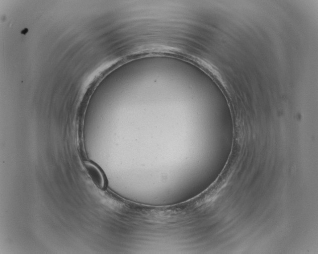 X0000073930987200609011830